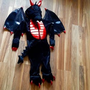 Dragon Costume